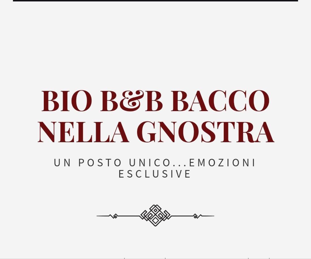 Bio B&B Bacco Nella Gnostra อัลตามูรา ภายนอก รูปภาพ